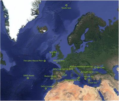 The EMSO Generic Instrument Module (EGIM): Standardized and Interoperable Instrumentation for Ocean Observation